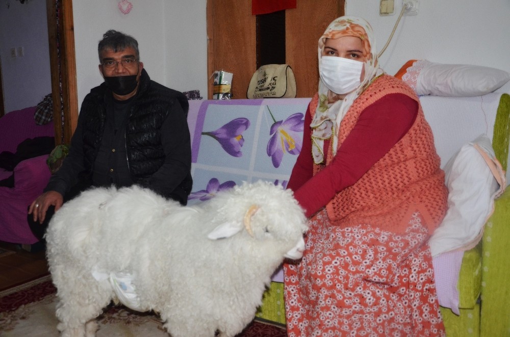 23 yıldır evlat hasretlerini Boncuk´la giderdiler
