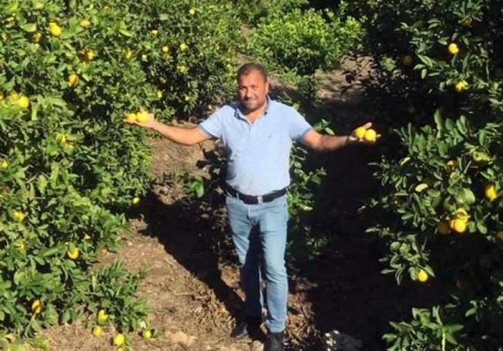 450 bin ton limonu bedavaya alan yok