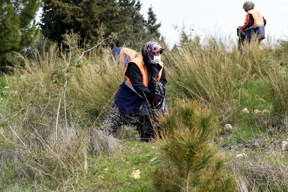 Aliağa Belediyesinden orman temizliği
