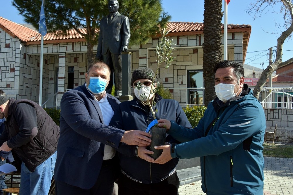Aliağa´da 684 üreticiye 17 bin 100 adet zeytin fidanı dağıtıldı

