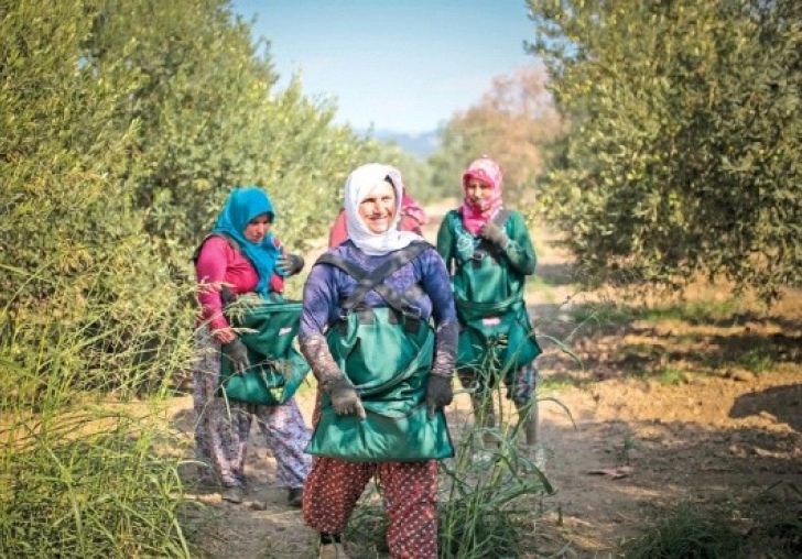 Altın sıvının altın yılları