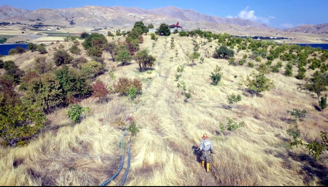 Amerika’dan Ödül Alan Malatyalı