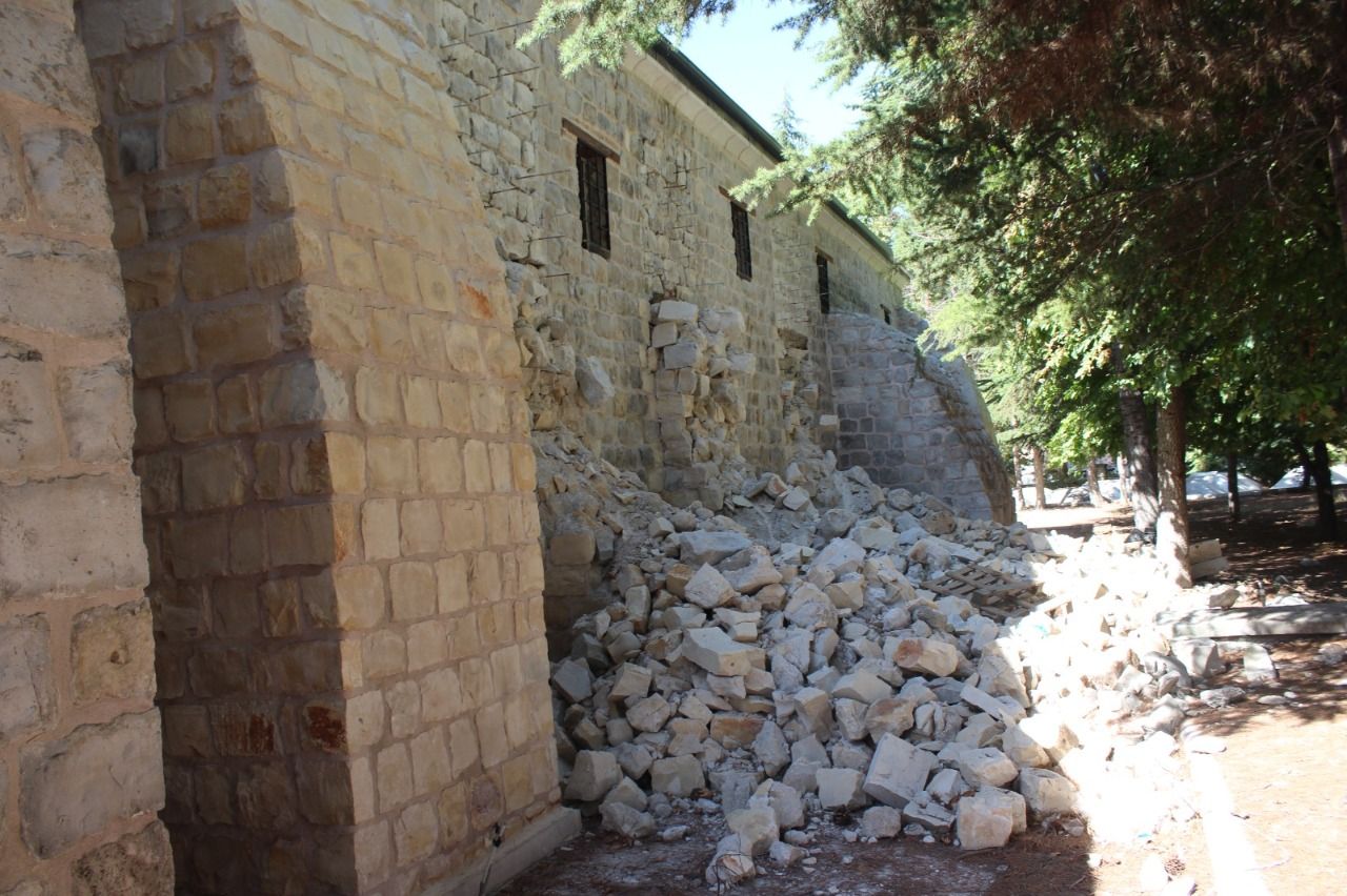 Anadolu'daki Tek Örneği Malatya'daydı, Depremden Dolayı Can Çekişiyor