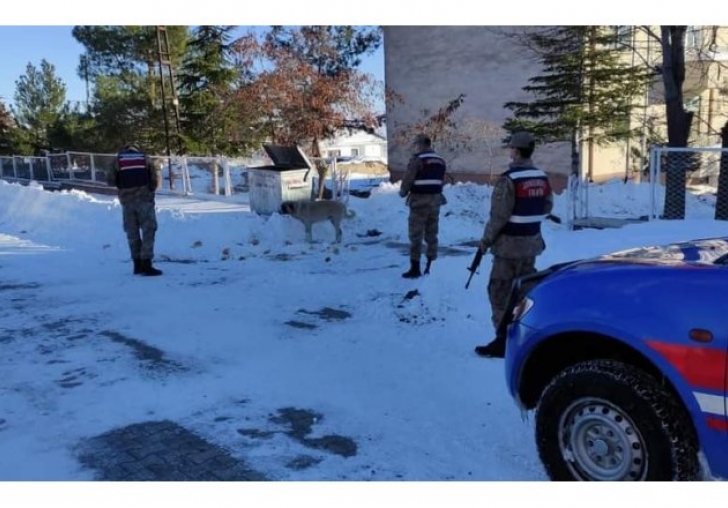 Arguvanda jandarma sokak hayvanlarını unutmadı 