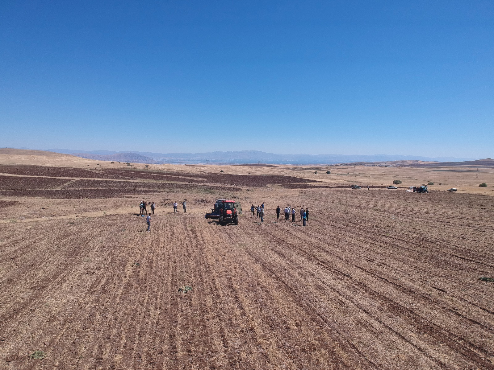 Arguvan Nohut Hasat Tarla Günü