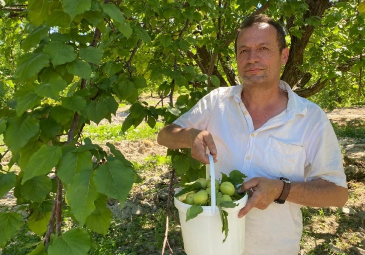 Askıda Kayısıya Vatandaş'ın Yoğun İlgisi