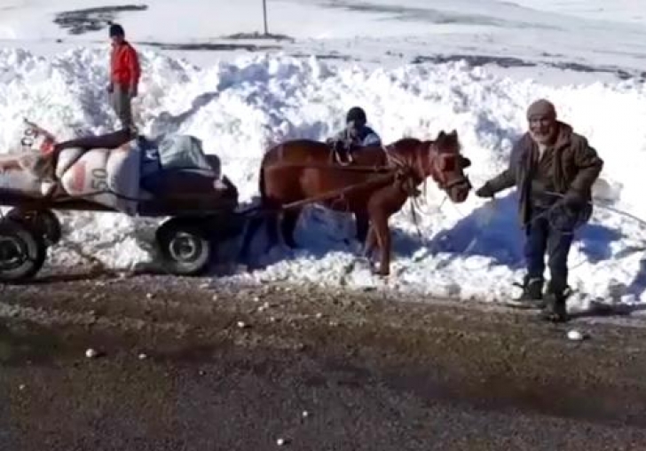 Atı kara saplanan besicinin yardımına Karayolları ekipleri koştu
