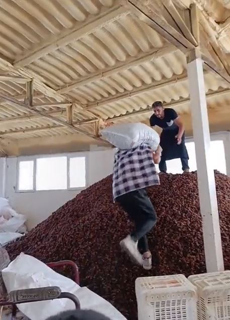 Ayakkabısıyla Kayısıların Üzerine Çıkmıştı Cezası Belli Oldu