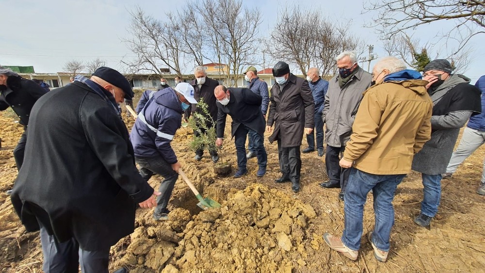 Babalı Sahili´ne anlamlı hatıra ormanı
