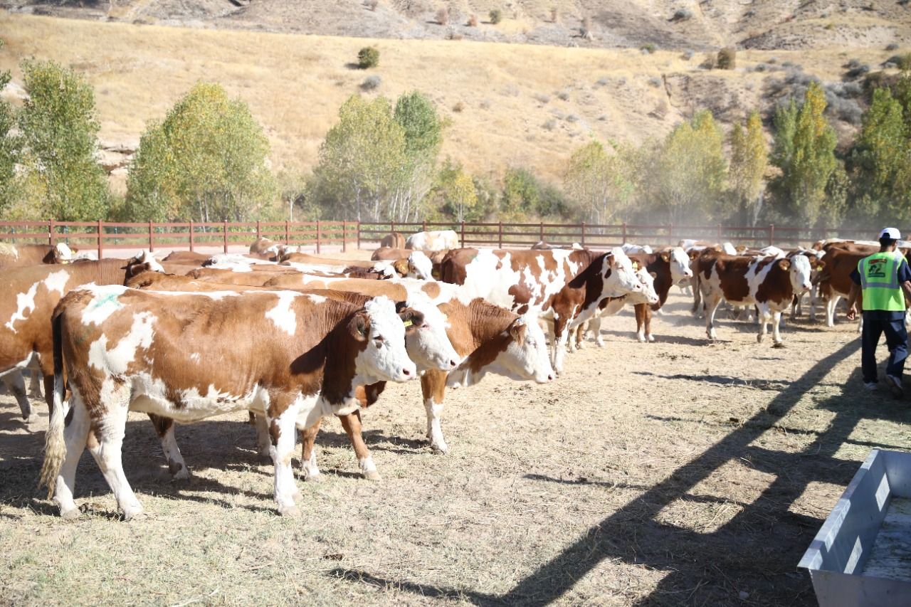 Bakanlık, bir ‘ilke’ daha Malatya’dan başladı!