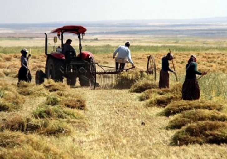 Bakanlıktan,Yem Piyasalarındaki Olağanüstü Artışlara Müdahale Ediyoruz
