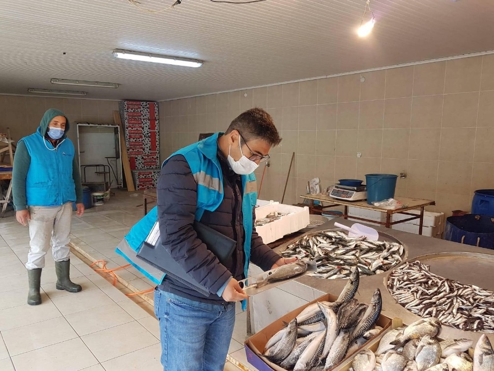 Balık pazarı denetlendi
