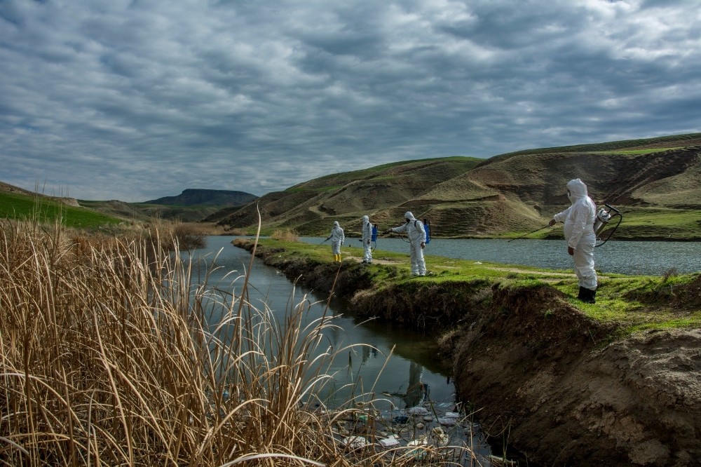 Batman´da karasinek ve sivrisinekle mücadele çalışmaları başladı
