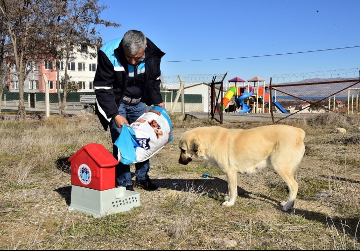 BATTALGAZİDE CAN DOSTLAR İÇİN 19 YENİ BESLEME NOKTASI