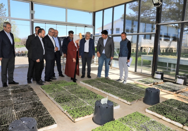 BATTALGAZİYE DEĞER KATACAK DEV PROJEYE  MİLLETVEKİLİ ÇALIKDAN TAM NOT