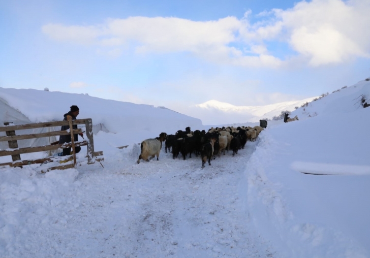 BEYDAĞINI AŞAN BATTALGAZİ BELEDİYESİ EKİPLERİ, ÜRETİCİ VE  HAYVANLARINI KURTARDI