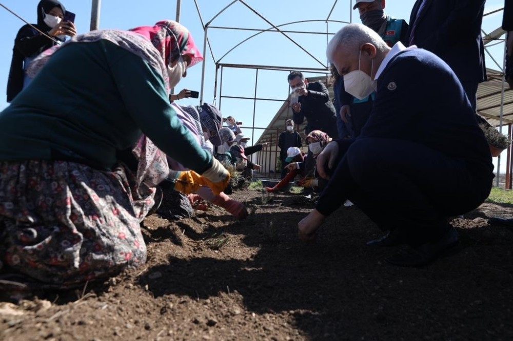 Binali Yıldırım, önce lavanta dikti ardından 4 leylek ve 1 şahini doğal yaşam alanına bıraktı

