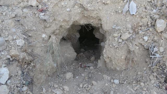 Binlerce Yıllık Höyük Definecilerin Hedefi Oldu!