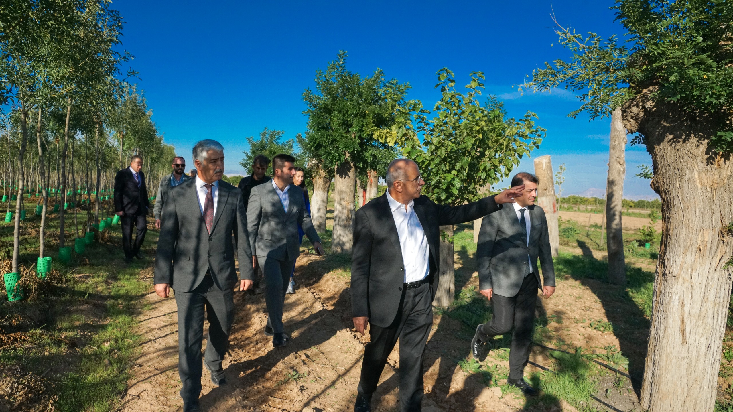Büyükşehir’den Yıllık 20 Bin Fidan, 50 Bin Metrekare Rulo Çim Üretimi