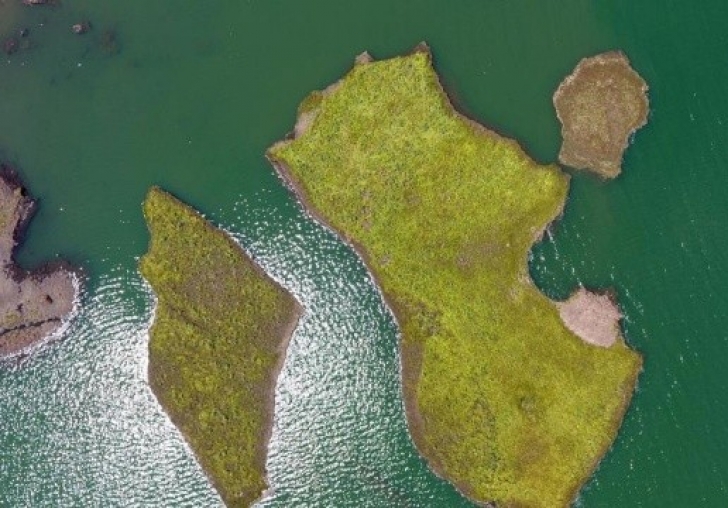 Çat Baraj Göleti üzerinde bulunan yüzen adaların atmosferi koruduğu ortaya çıktı