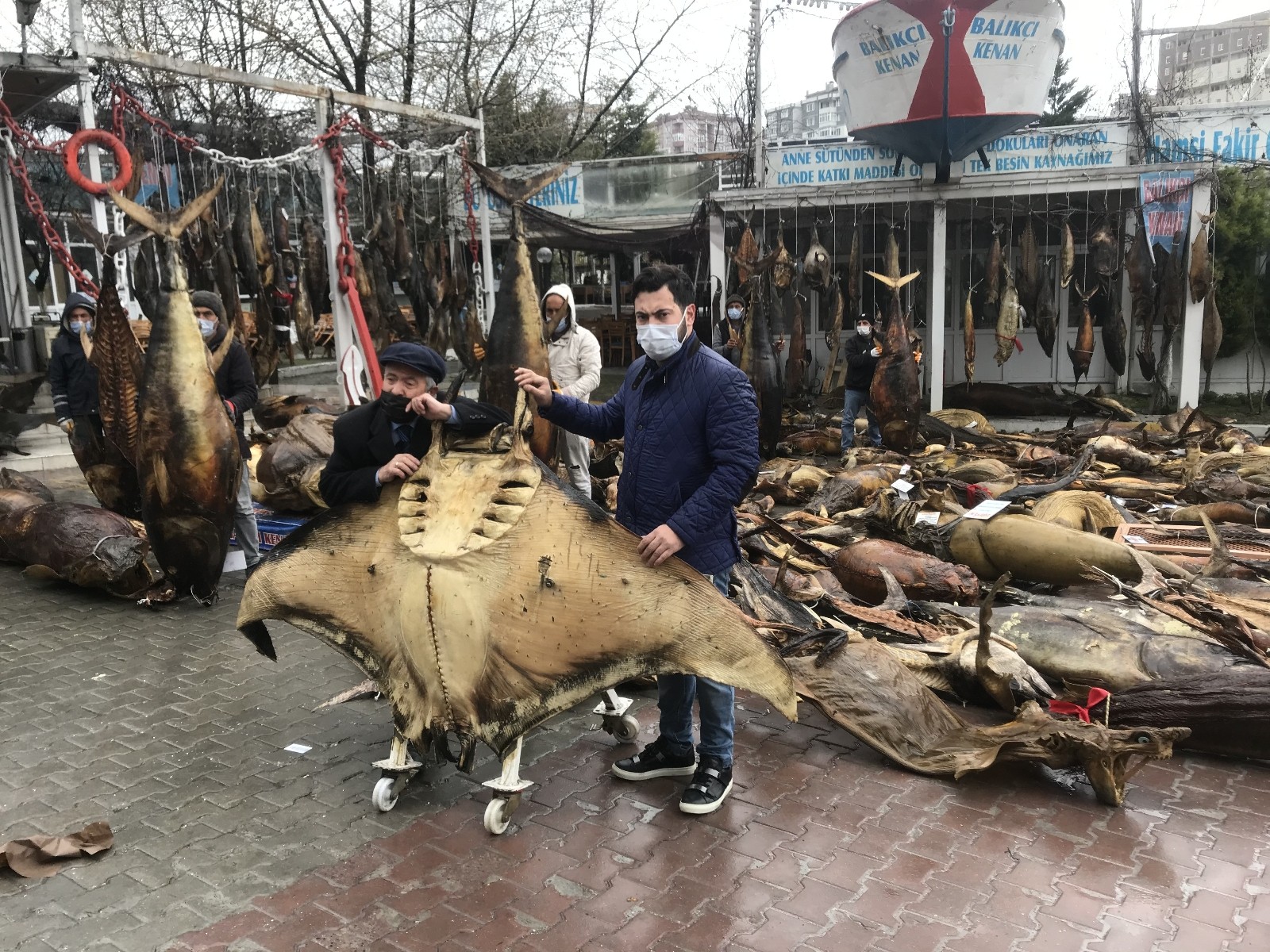 CHP´li belediyenin yıkım kararı aldığı balık müzesinin kurucusu Kenan Balcı, Cumhurbaşkanı Erdoğan´a seslendi
