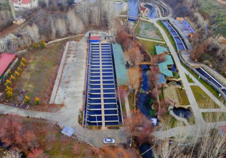 Denizi olmayan ilçede yıllık 500 ton balık üretiliyor