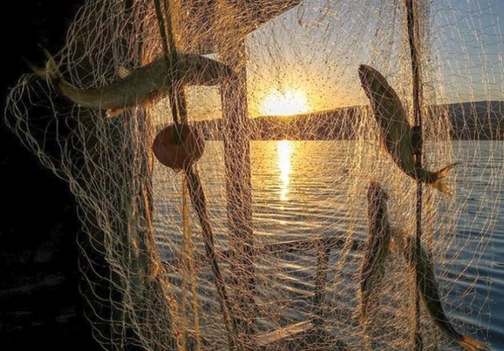 Denizlerde Av Yasağı Başlıyor