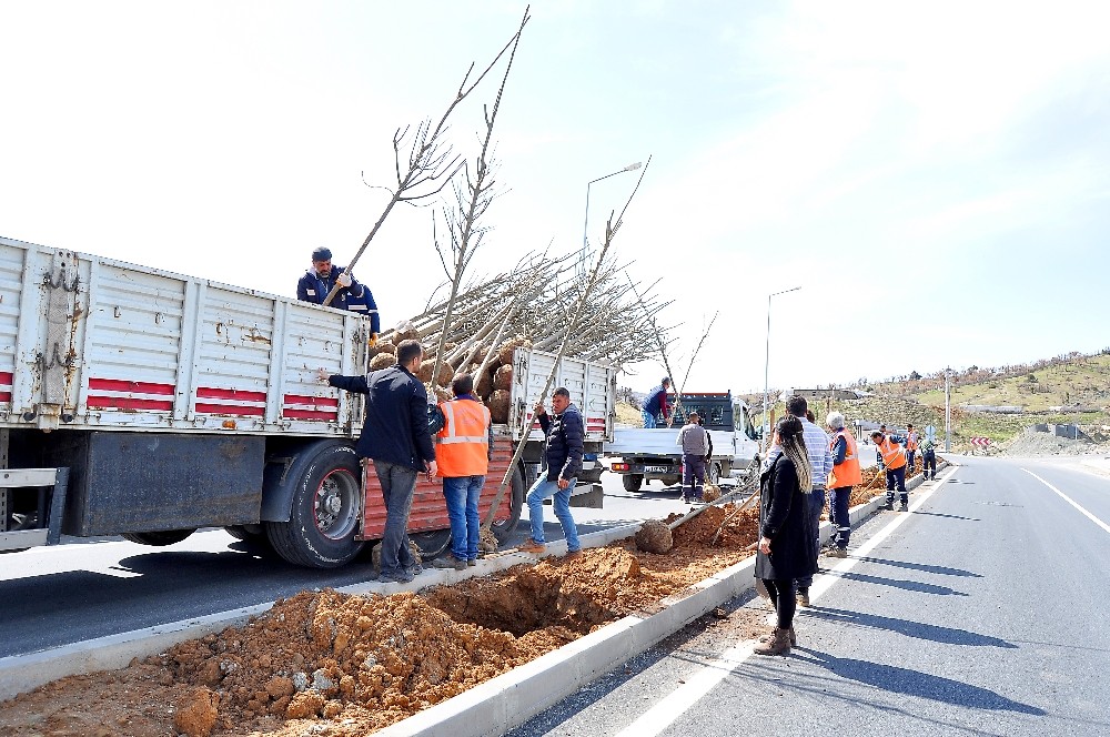 Diyarbakır´ın ilçeleri yeşilleniyor
