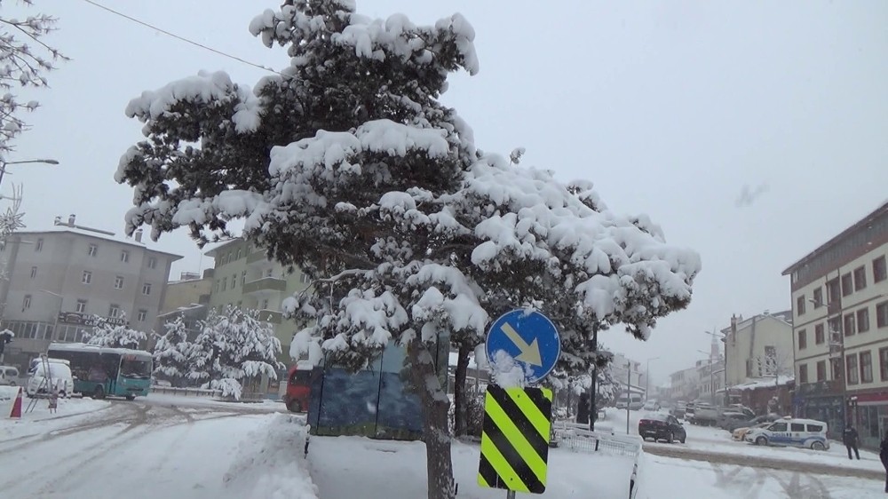 Doğu´da Mart kar´ı sevindirdi
