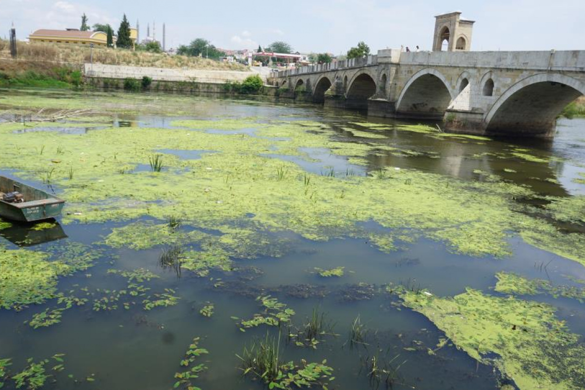 Edirne'de Tunca Nehri plastik atıklar ve çöplerle kaplandı