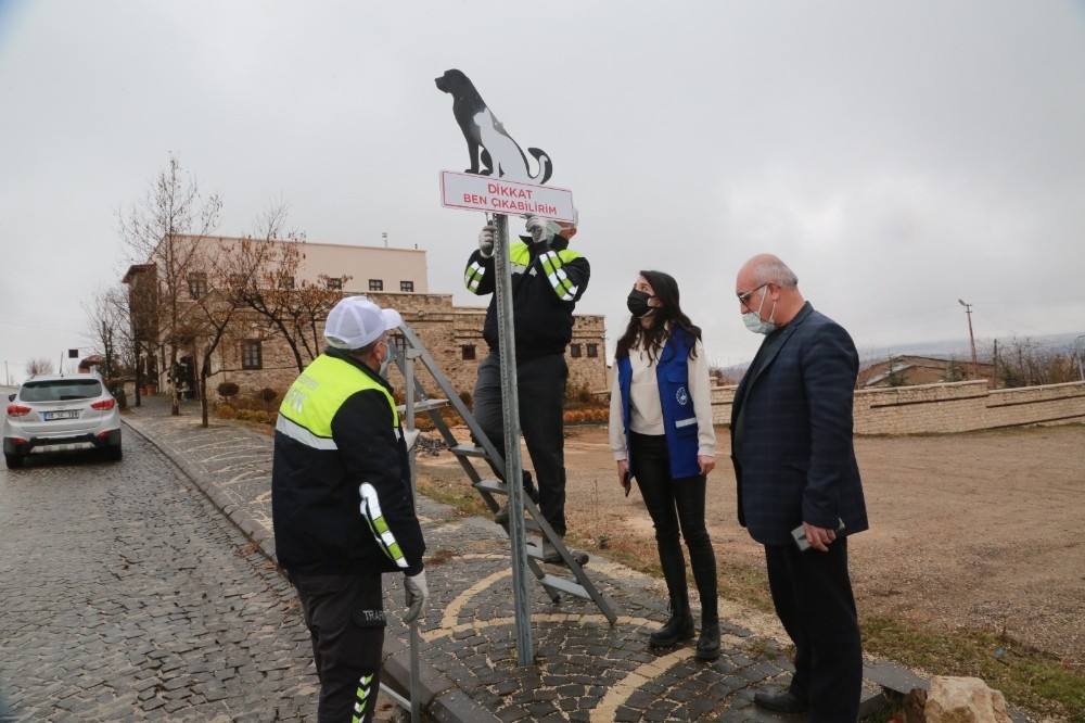 Elazığ´da sokak hayvanlarını korumak için uyarı tabelası
