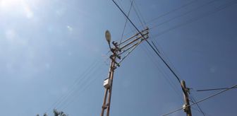 Elektrik Direğindeki Kaçak Akım Yüzünden Hayatını Kaybetti