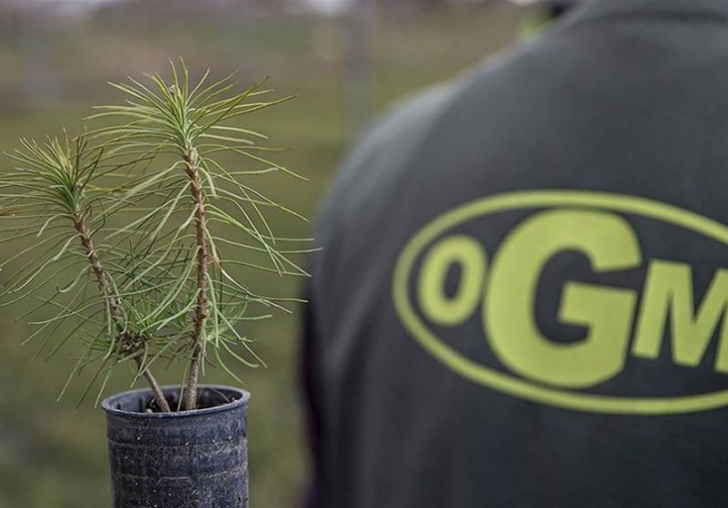 Fidan Üretimine İklim Ayarı