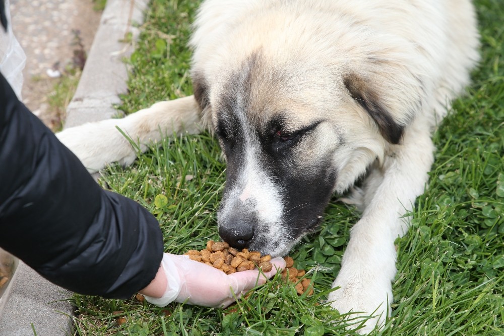 Gölbaşı Belediye Başkanı Şimşek: 