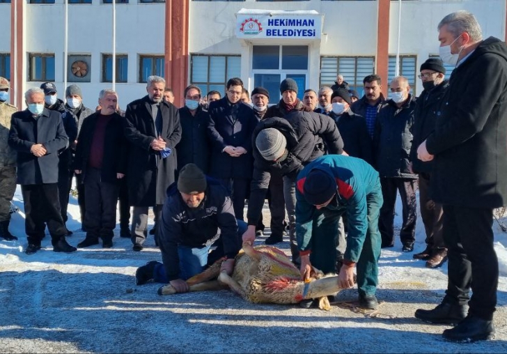HEKİMHANDA KAR YAĞIŞI NEDENİ İLE ŞÜKÜR KURBANI KESİLDİ