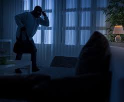 Hırsızlık Olaylarının Failleri Suçüstü Yakalandı