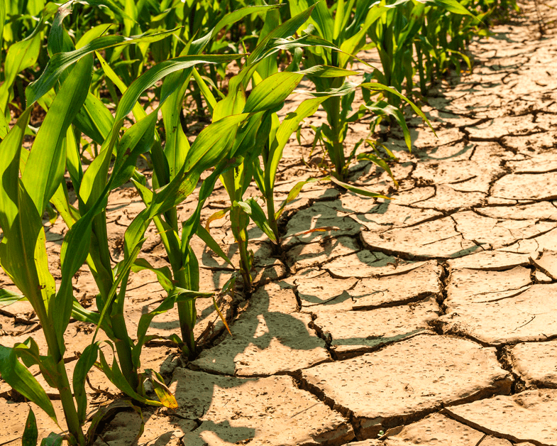 İKLİM DEĞİŞİKLİĞİ EYLEM PLANI OLUŞTURULMASI  İÇİN ÇALIŞMALARA BAŞLADI