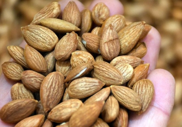 İlk Çeyrekte 5,1 Milyon Dolarlık Kayısı Çekirdeği İhracatı