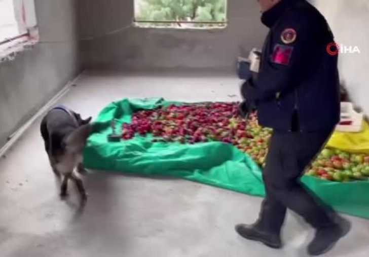 Jandarma KOM zehir tacirlerine göz açtırmıyor