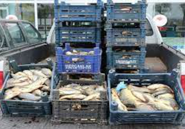 Kaçak Avcılığa Operasyon