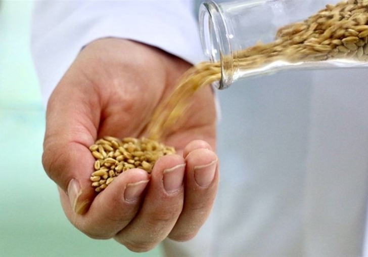 Kanatlı' 2 Yıl İçinde Tarlada