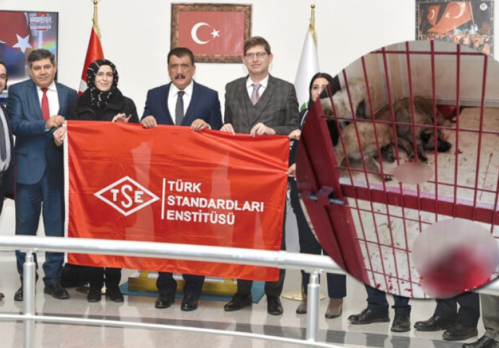 Kanlı İddia Büyükşehirin Belgesini Gölgeledi!