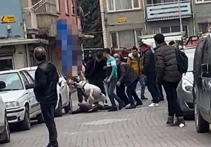 Kavgada kalabalığın üzerine beslediği pitbullu saldı!