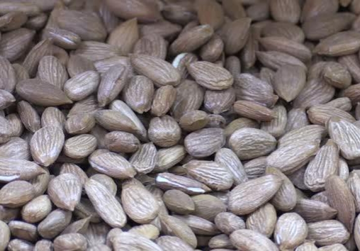 Kayısı çekirdeğinde 17,3 milyon dolarlık ihracat