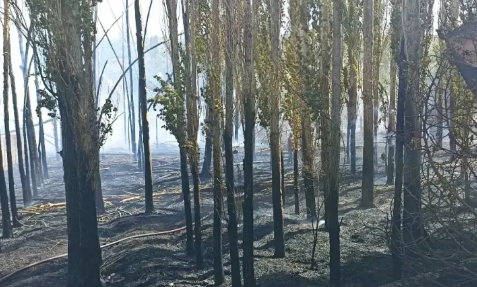 Kayseri Malatya Yolu Üzerinde Yangın