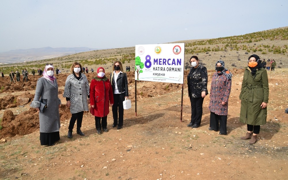 Kırşehir´de, Mercan Ormanı oluşturuldu
