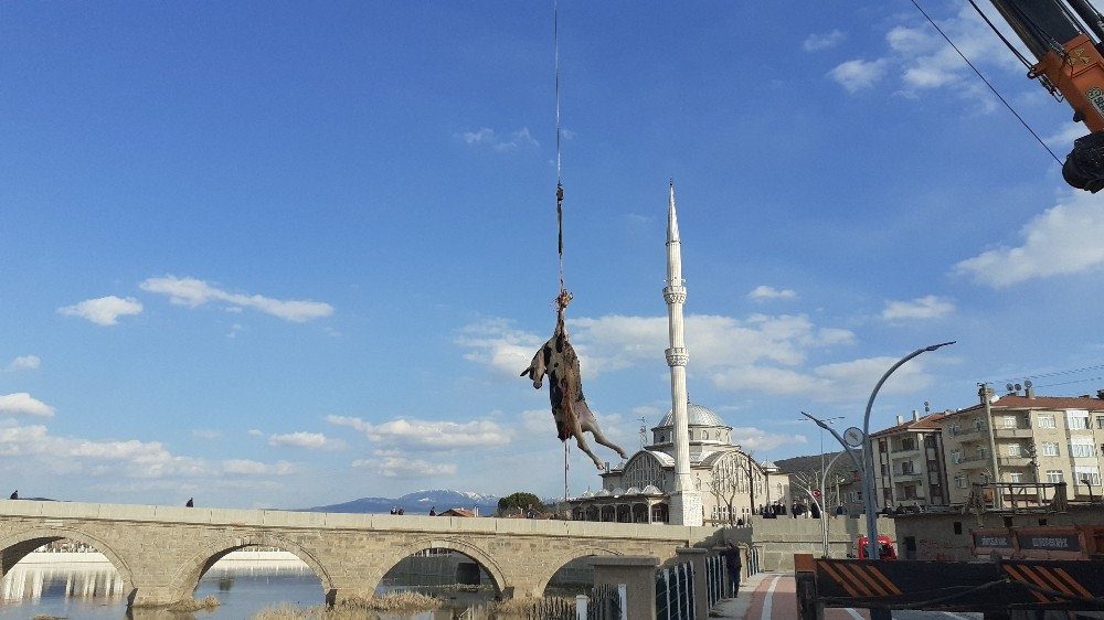 Kızılırmak´a düşen büyükbaş hayvan vinç yardımı ile çıkarıldı
