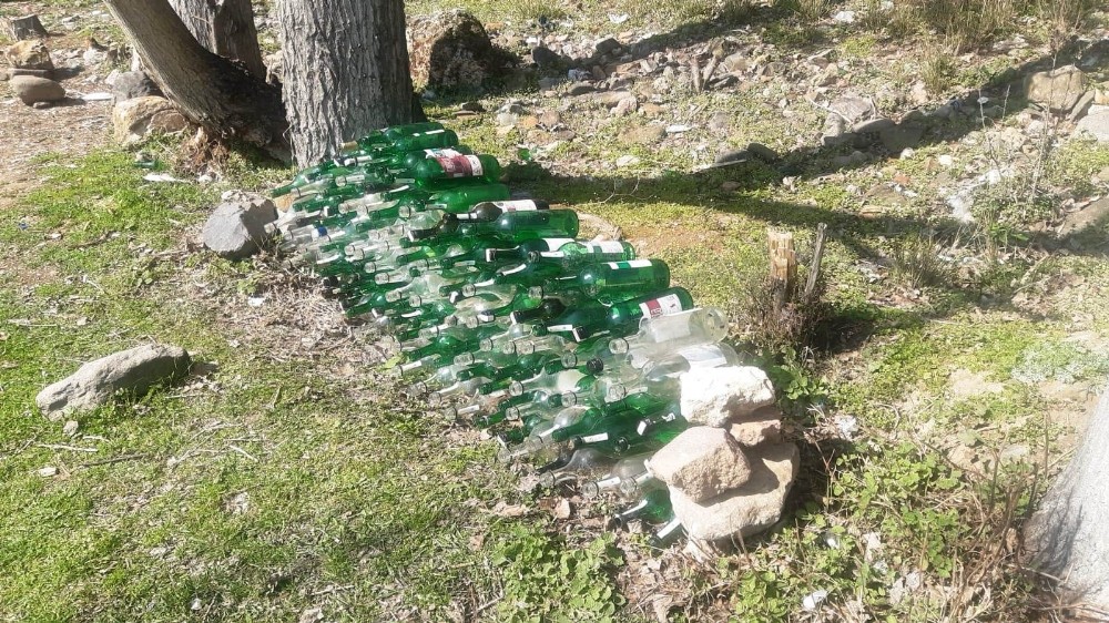 Kızıyla yürüyüşe çıktı gördükleri karşısında şaşırdı
