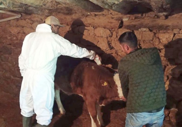 KKKA'dan Bir Gencin Öldüğü Bölgede İlaçlama