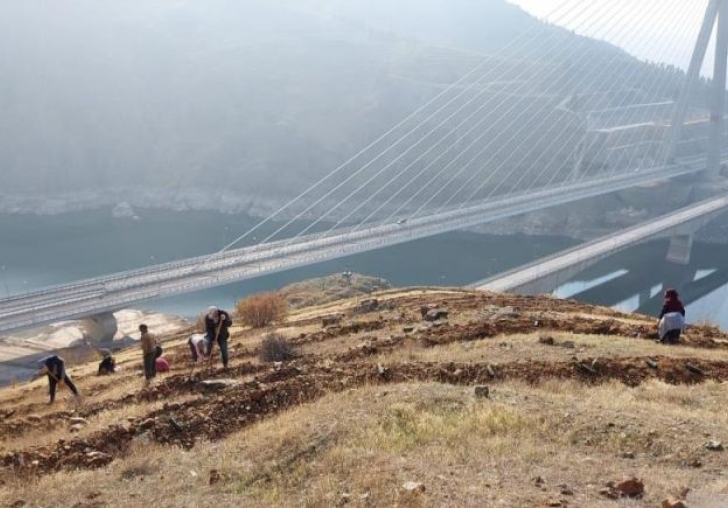 Kömürhan Köprüsü Çevresi Ağaçlandırılıyor